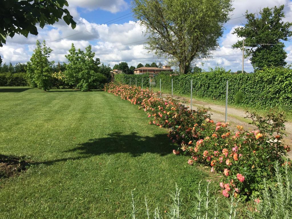 Vigorso 41 Country House Budrio  Eksteriør billede